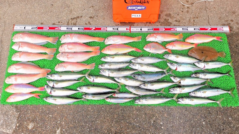 IMG_20220718_152944_edit_740365753593278