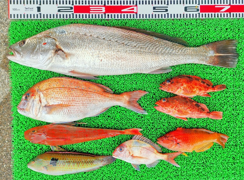 IMG_20220506_144459_edit_418189349400768