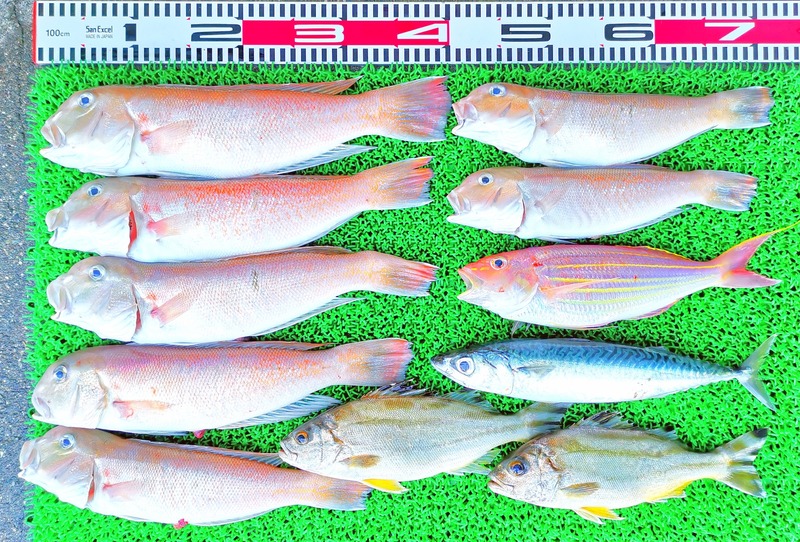 IMG_20220701_152618_edit_326018011557023