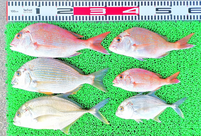 IMG_20251029_152345_edit_2126607252493205