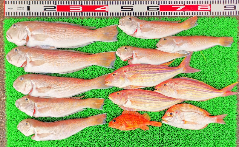 IMG_20241230_141357_edit_601813976803476