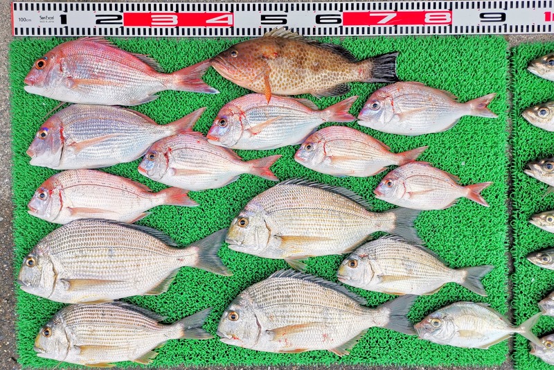 IMG_20251113_145211_edit_2433348078909421