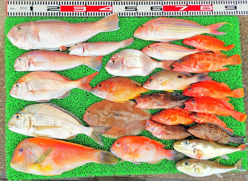 IMG_20241212_155155_edit_274114697689420