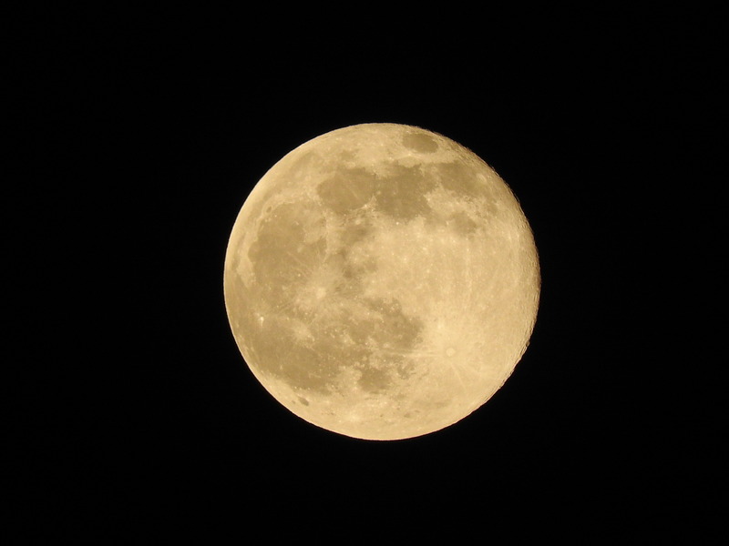 DSCN2652