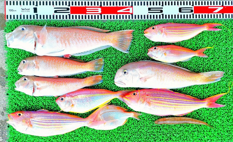 IMG_20220724_121346_edit_906584798536665