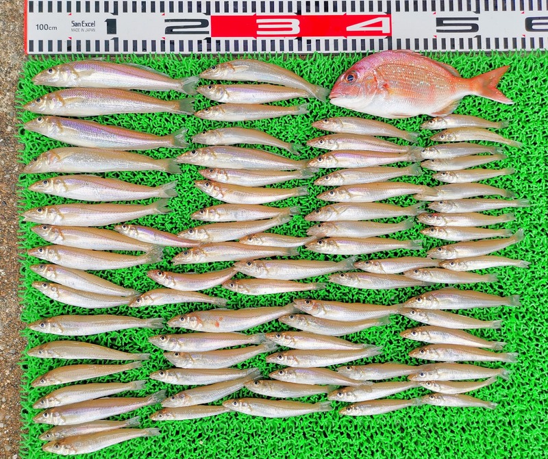 IMG_20220506_140800_edit_418149607282024