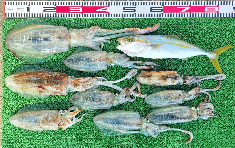 IMG_20251114_124640_edit_2457777211499964