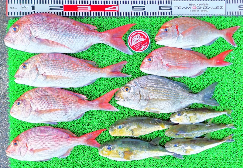 IMG_20220723_161715_edit_873331483895905