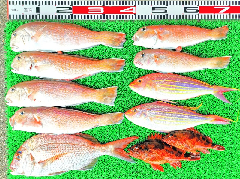 IMG_20220711_151535_edit_564202712824846