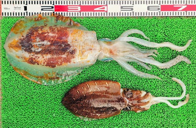 IMG_20250227_152121_edit_1075898878280617