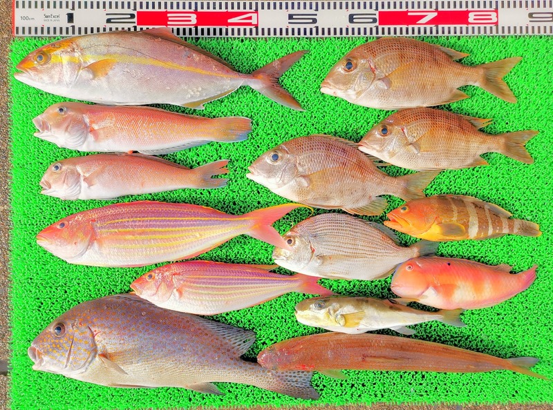 IMG_20241230_144600_edit_602008073346154