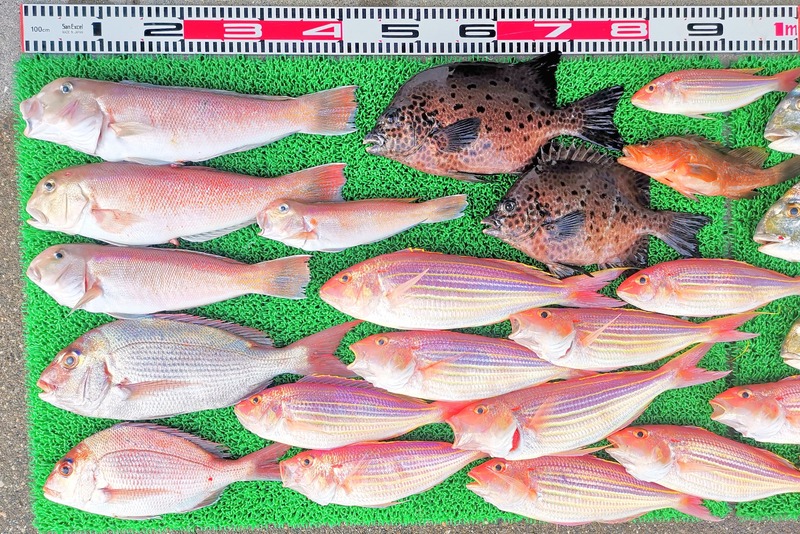 IMG_20251127_160904_edit_2735627444697150