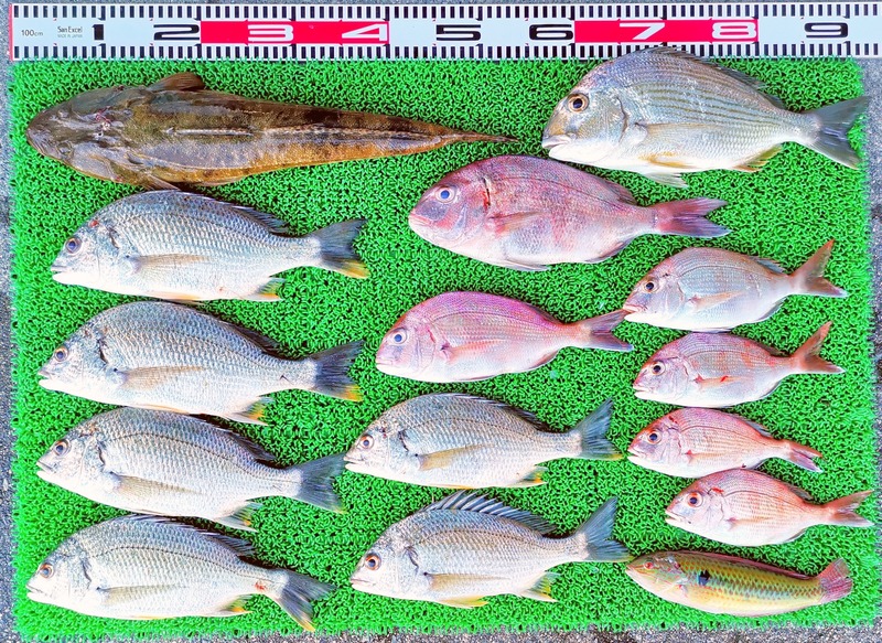 IMG_20240918_153811_edit_307406154817675