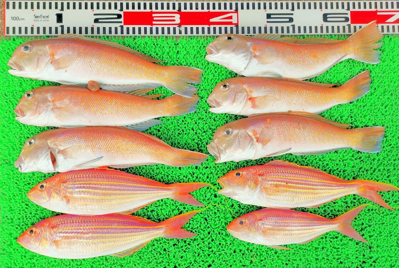 IMG_20241230_123627_edit_600737308183849