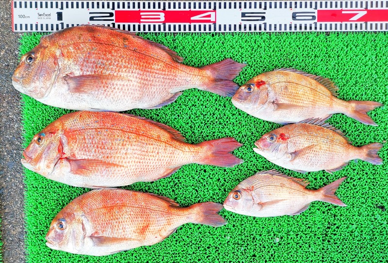 IMG_20241230_155112_edit_602724205041358