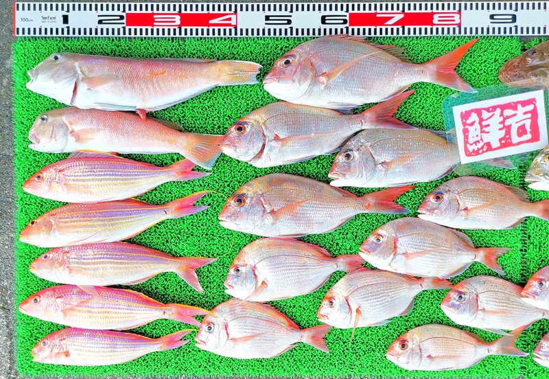 IMG_20240908_153135_edit_143804012049410