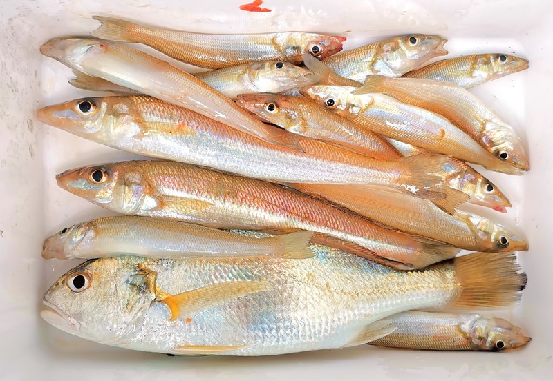 IMG_20220702_112317_edit_349704721498721