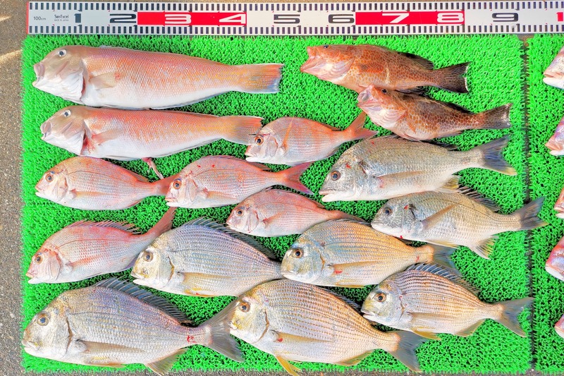 IMG_20251116_130315_edit_2500556339986665