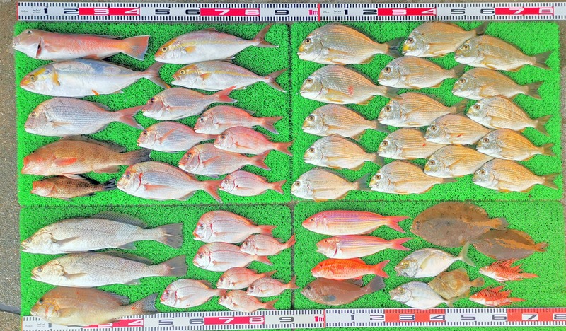 IMG_20251127_144202_edit_2734753008261346