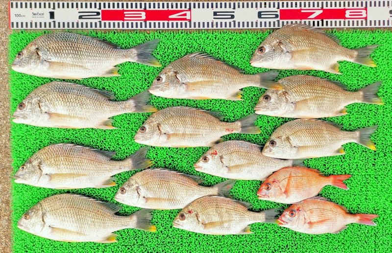 IMG_20250227_155943_edit_1075932183924362