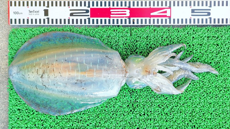 IMG_20260305_142649_edit_183613547378231