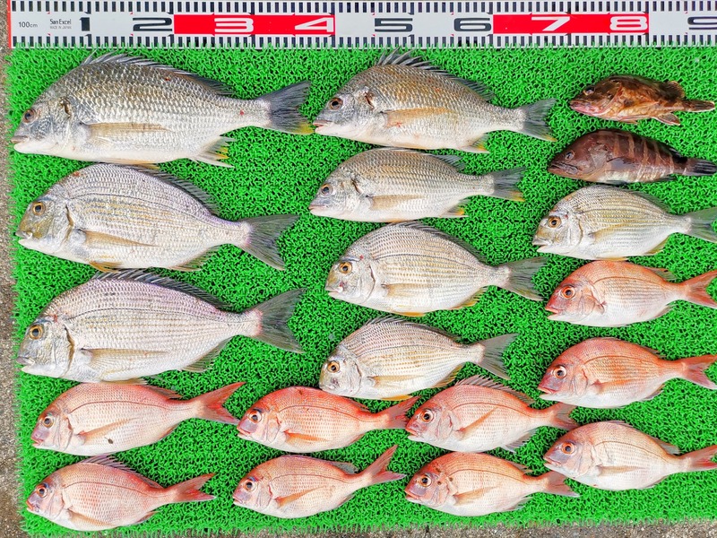 IMG_20210627_142405_edit_705908155443847