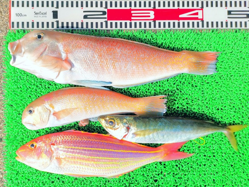 IMG_20260118_125632_edit_3969903528827557