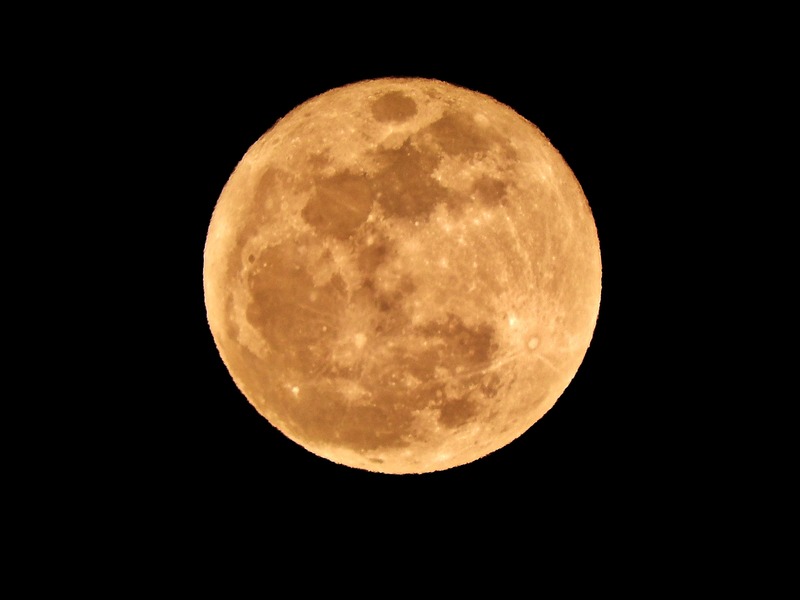 DSCN7995