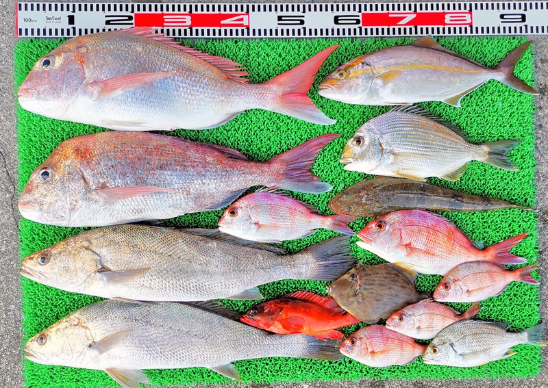 IMG_20251109_161628_edit_2362997896832655