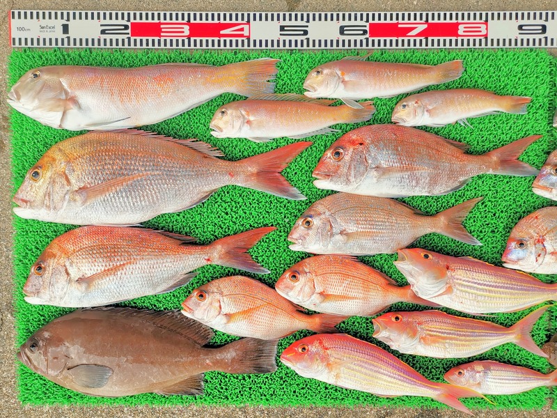 IMG_20251201_142147_edit_2823915562426387