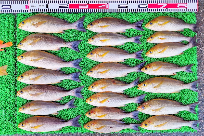 IMG_20251108_164355_edit_2344046021983985