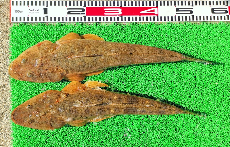 IMG_20250223_142300_edit_990255960518164