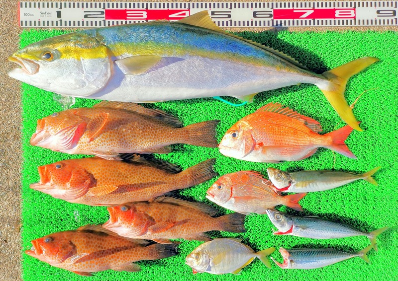 IMG_20260123_151334_edit_46433925534059