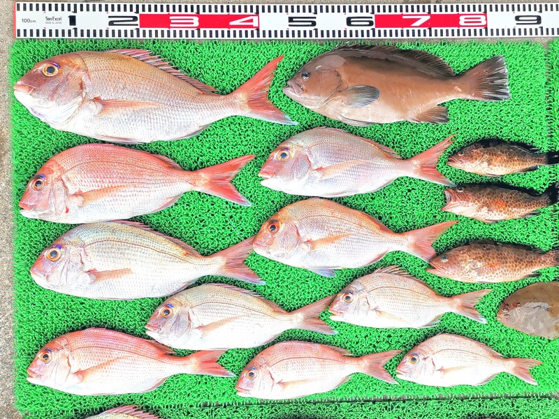 IMG_20251024_141629_edit_2014453045070736