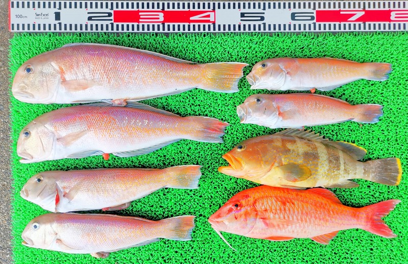 IMG_20251116_152517_edit_2500864675832973