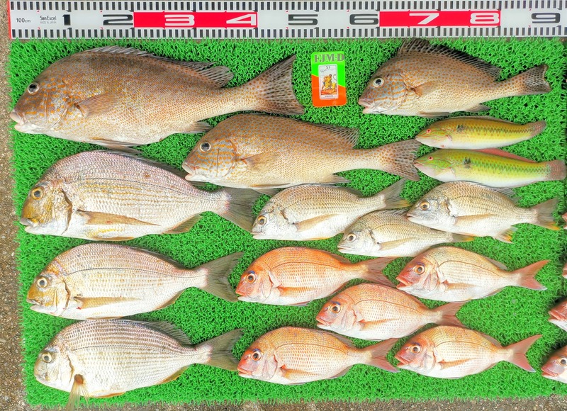 IMG_20220729_130222_edit_75964835623303