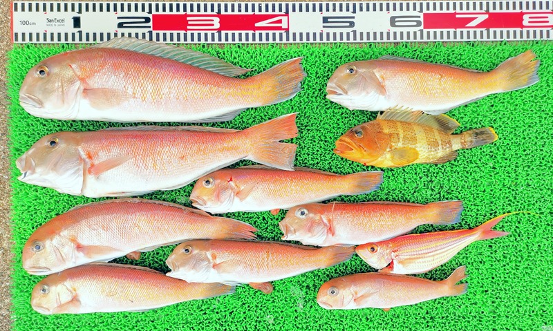 IMG_20250227_151448_edit_1075857287267602