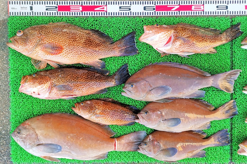 IMG_20251028_133215_edit_2099956649490501