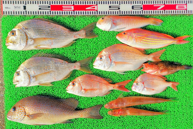 IMG_20241212_143406_edit_273954968213924