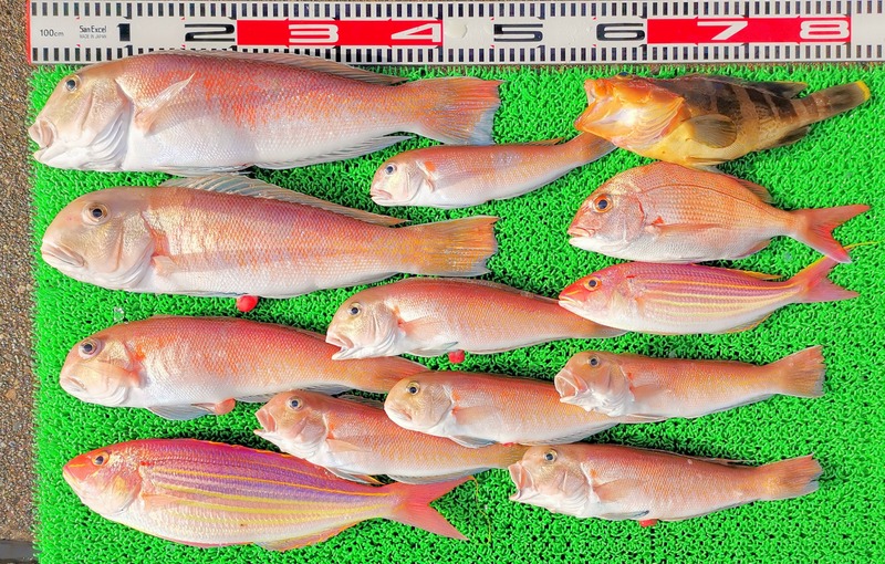 IMG_20241230_145744_edit_602070744391978