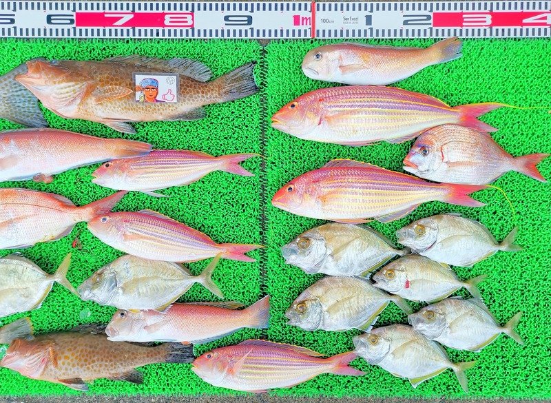 IMG_20250112_162114_edit_52446267870121