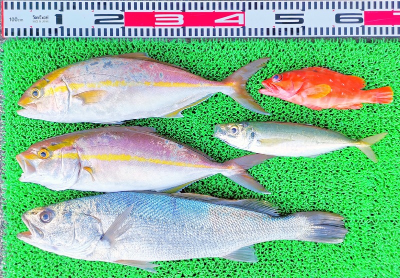 IMG_20251029_160000_edit_2126702226772878