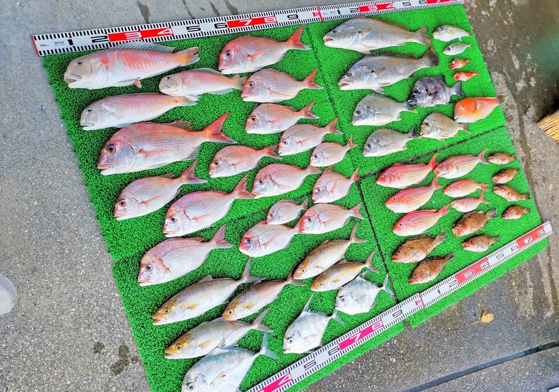 IMG_20241112_154413_edit_86999457505995