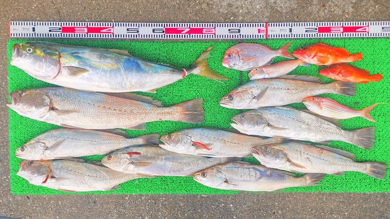 IMG_20251127_155308_edit_2735306479845636