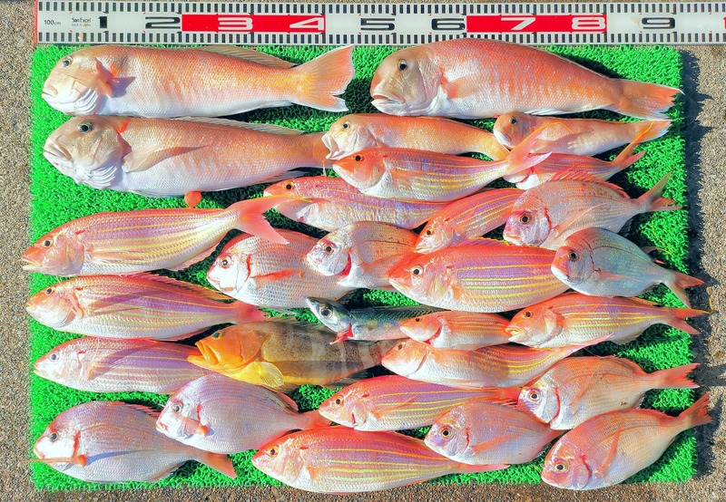 IMG_20251129_144227_edit_2784233929088171