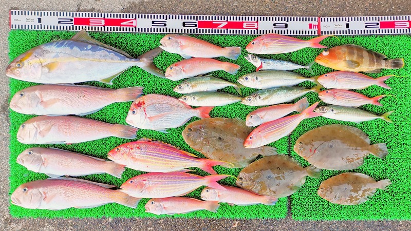 IMG_20251122_162459_edit_2629831112136731~2