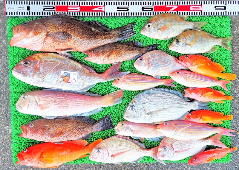 IMG_20251123_162812_edit_2652743065444693