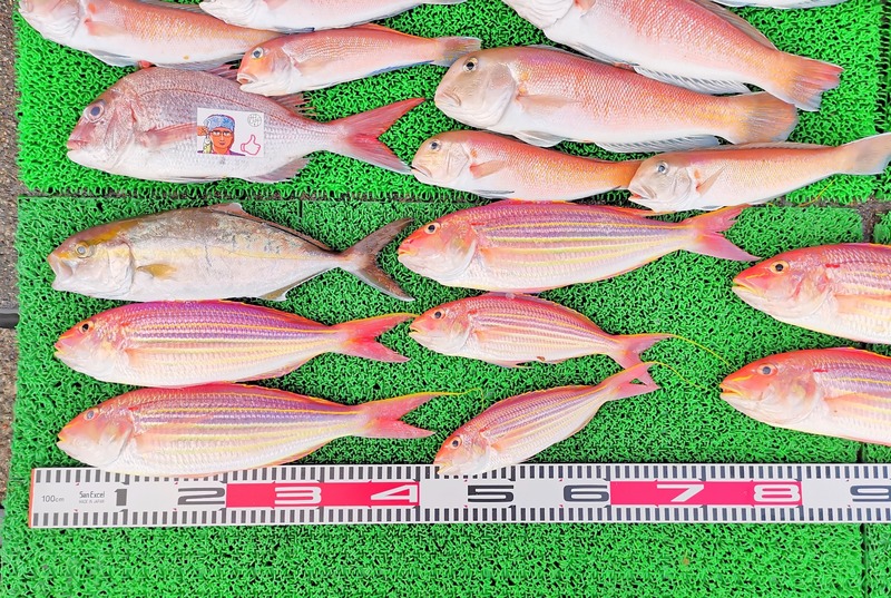 IMG_20241230_165430_edit_603436581444895