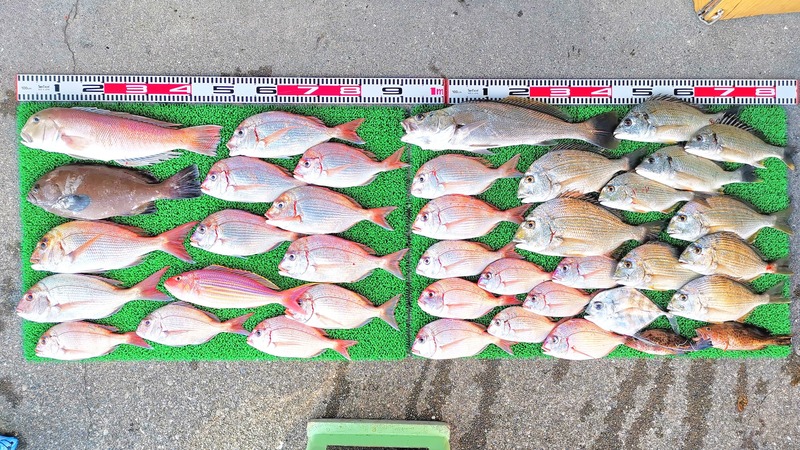 IMG_20251107_145536_edit_2324202340125554