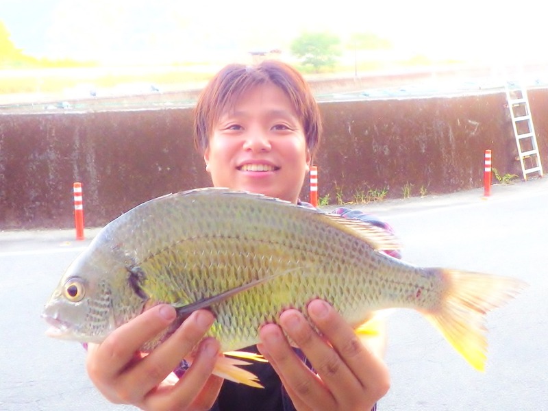 IMGP7034